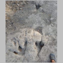 DSCN0726cr Mud collapsed NW bank.jpg